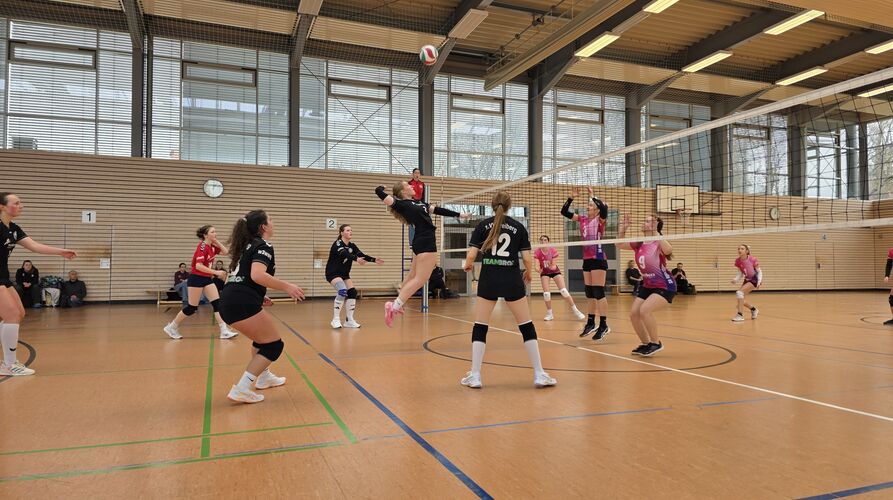 Damen 3: „Hier regiert der VVF“